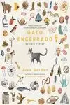 GATO ENCERRADO