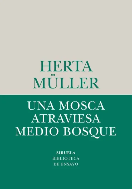 UNA MOSCA ATRAVIESA MEDIO BOSQUE