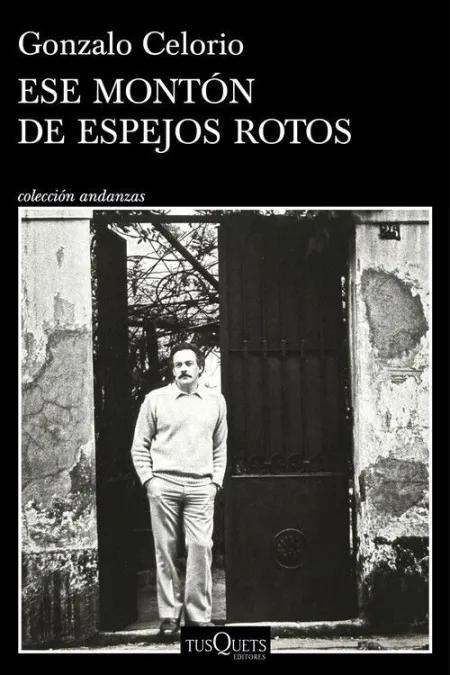 ESE MONTÓN DE ESPEJOS ROTOS