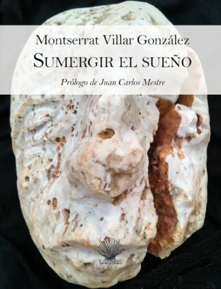 SUMERGIR EL SUEÑO / SULAGAR O SOÑO