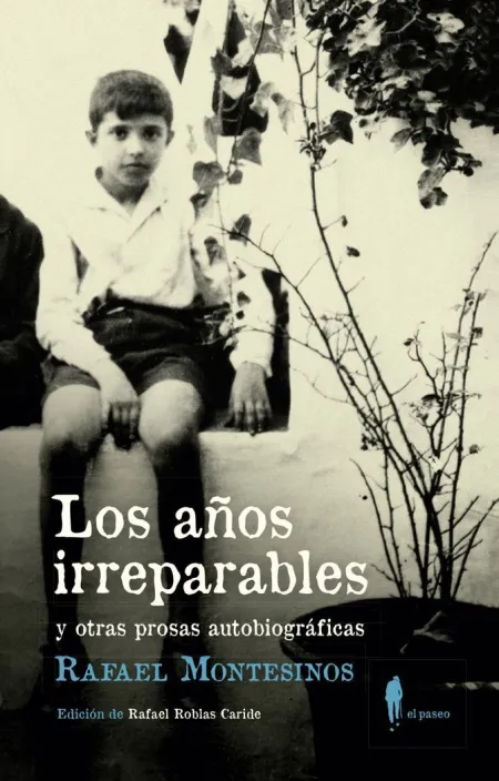 LOS AÑOS IRREPARABLES Y OTRAS PROSAS AUTOBIOGRÁFICAS