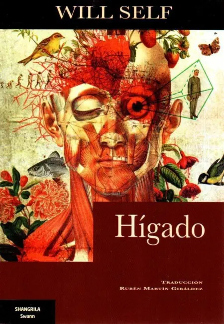 HÍGADO
