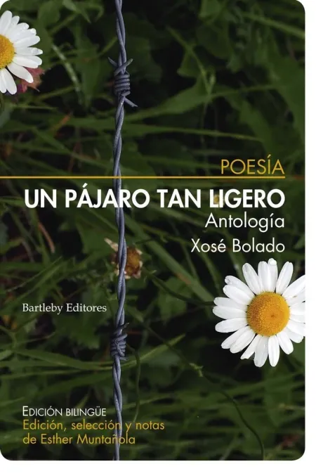 UN PÁJARO TAN LIGERO (ANTOLOGÍA)