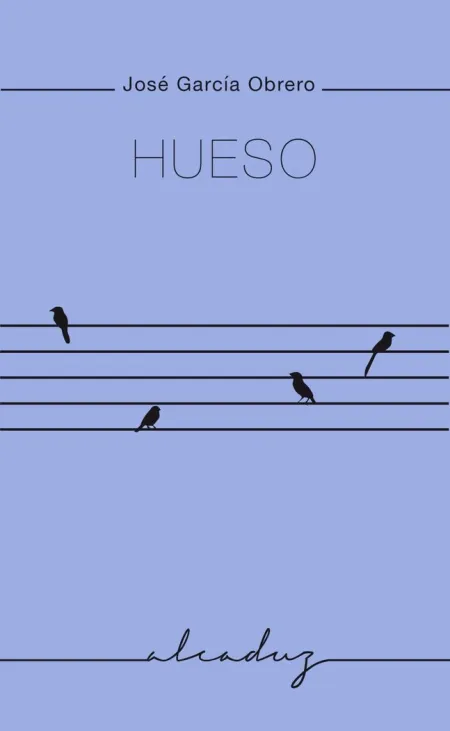HUESO