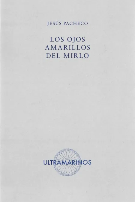 LOS OJOS AMARILLOS DEL MIRLO