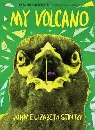 MI VOLCÁN