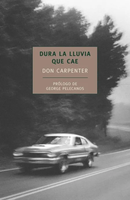 DURA LA LUVIA QUE CAE