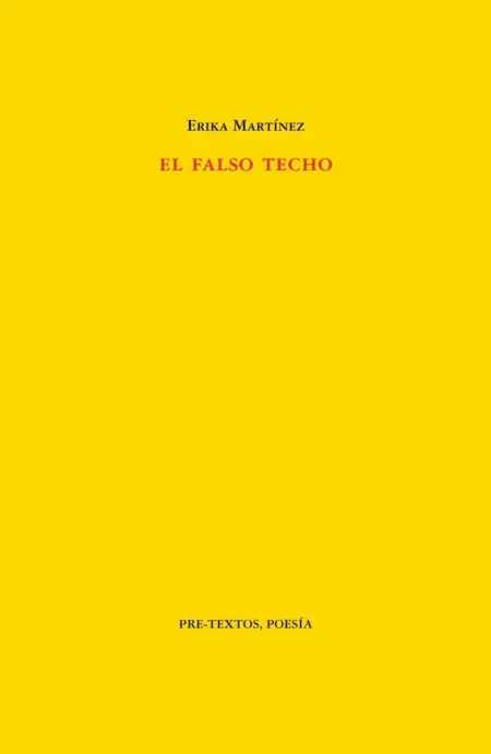 EL FALSO TECHO