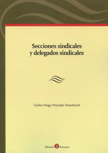 SECCIONES SINDICALES Y DELEGADOS SINDICALES