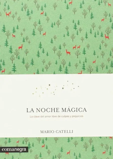 LA NOCHE MÁGICA
