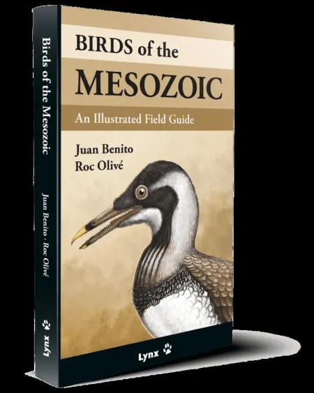 BIRDS OF THE MESOZOIC