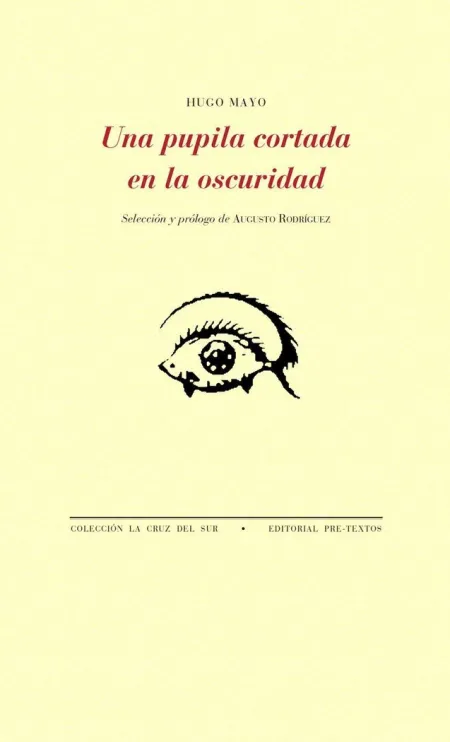 UNA PUPILA CORTADA EN LA OSCURIDAD