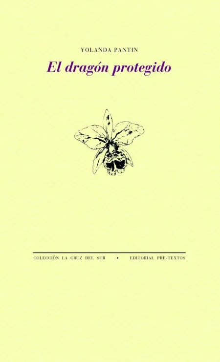 EL DRAGÓN PROTEGIDO