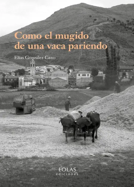 COMO EL MUGIDO DE UNA VACA PARIENDO