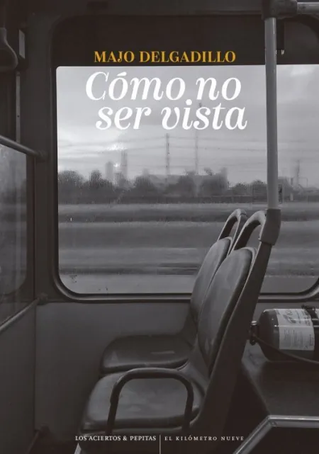 CÓMO NO SER VISTA