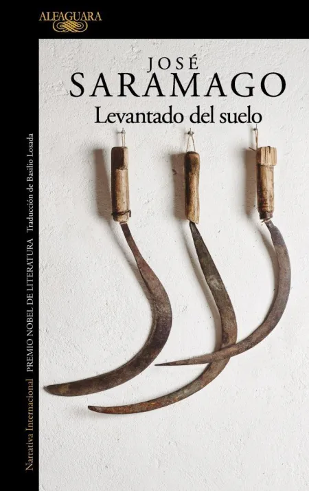 LEVANTADO DEL SUELO