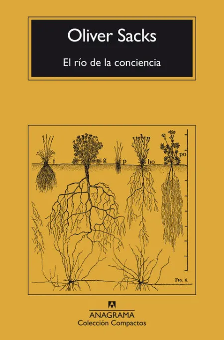 EL RÍO DE LA CONCIENCIA