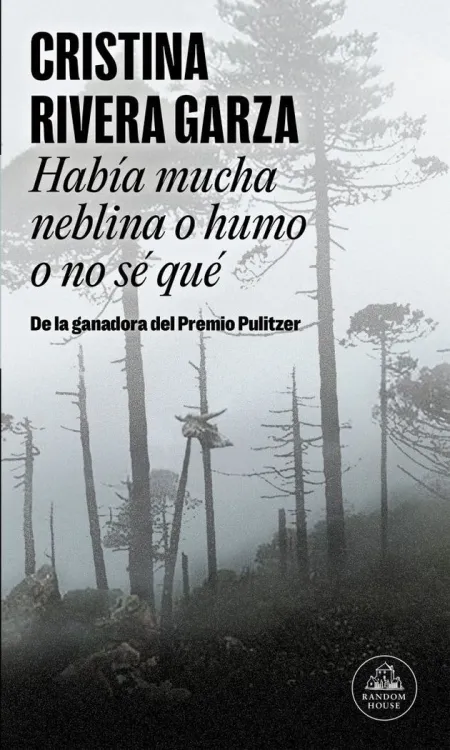 HABÍA MUCHA NEBLINA O HUMO O NO SÉ QUÉ (MAPA DE LAS LENGUAS)