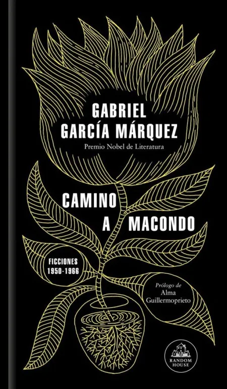 CAMINO A MACONDO