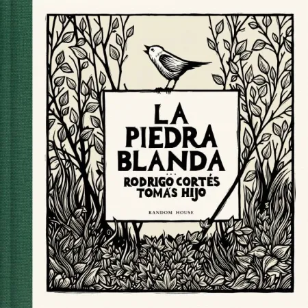 LA PIEDRA BLANDA
