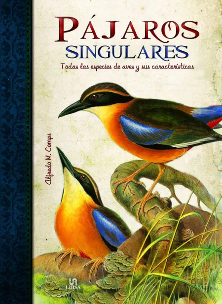 PÁJAROS SINGULARES