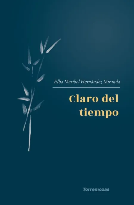 CLARO DEL TIEMPO