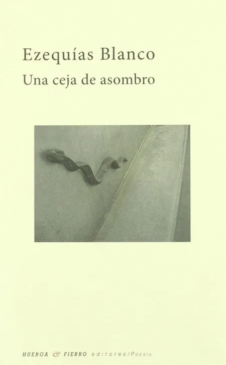 UNA CEJA DE ASOMBRO