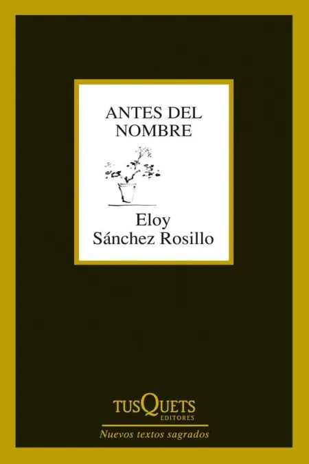 ANTES DEL NOMBRE