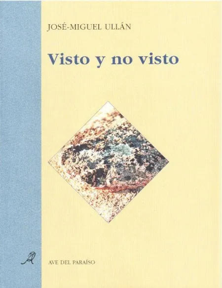 VISTO Y NO VISTO
