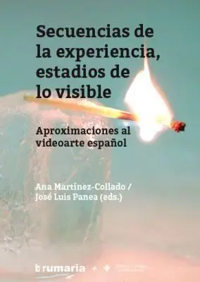 SECUENCIAS DE LA EXPERIENCIA, ESTADIOS DE LO VISIBLE. APROXIMACIÓN AL VIDEOARTE