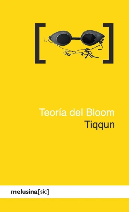 TEORIA DEL BLOOM
