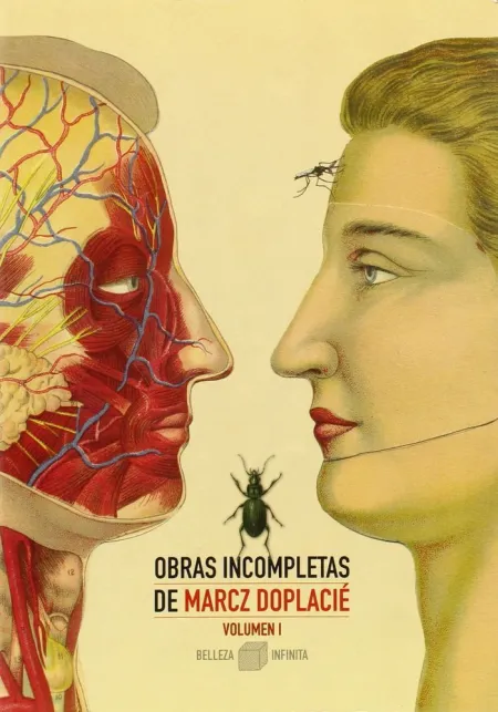 OBRAS INCOMPLETAS