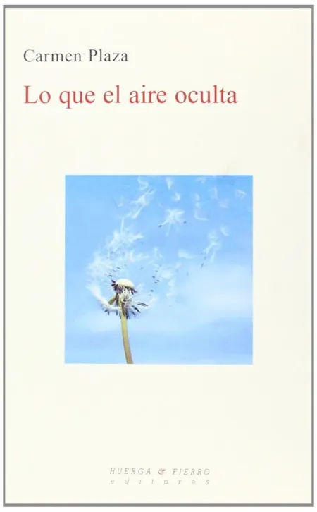 LO QUE EL AIRE OCULTA