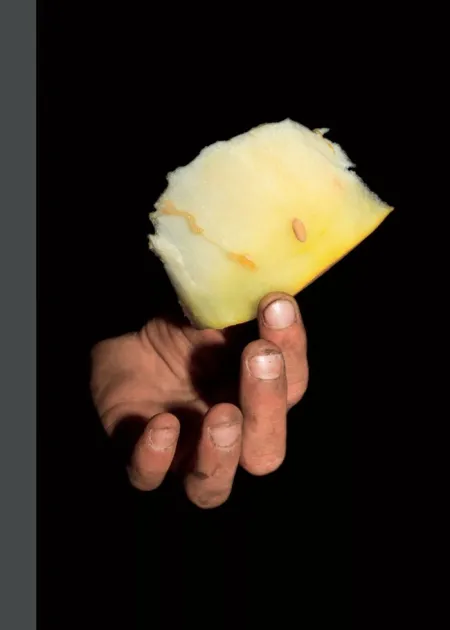 MELONES DE HIEL