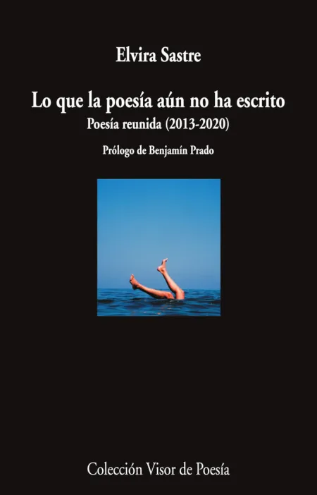 LO QUE LA POESÍA AÚN NO HA ESCRITO