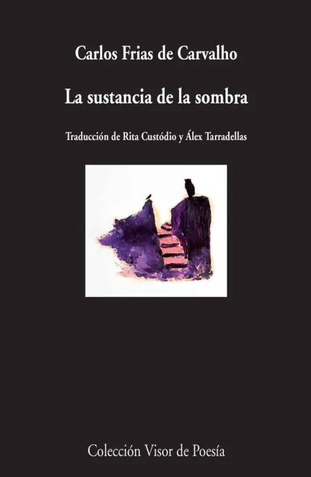 LA SUSTANCIA DE LA SOMBRA
