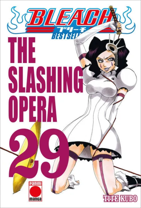 BLEACH BESTSELLER N.29