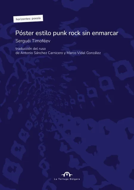 PÓSTER ESTILO PUNK ROCK SIN ENMARCAR