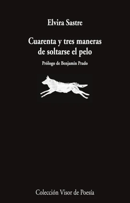 CUARENTA Y TRES MANERAS DE SOLTARSE EL PELO